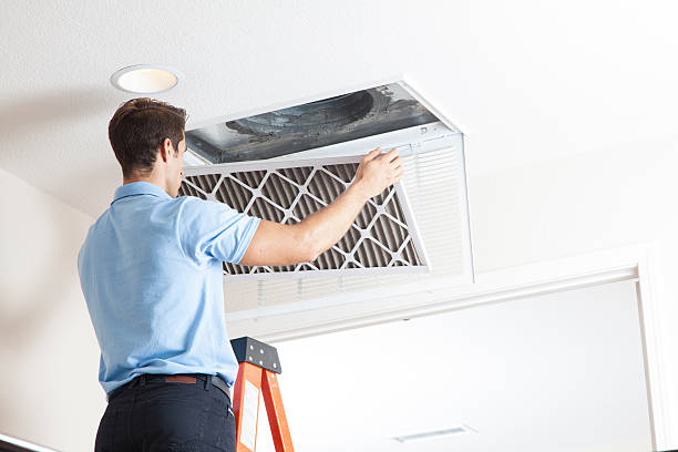 Best Air Filters and Purifiers in Silver Hill, MD
